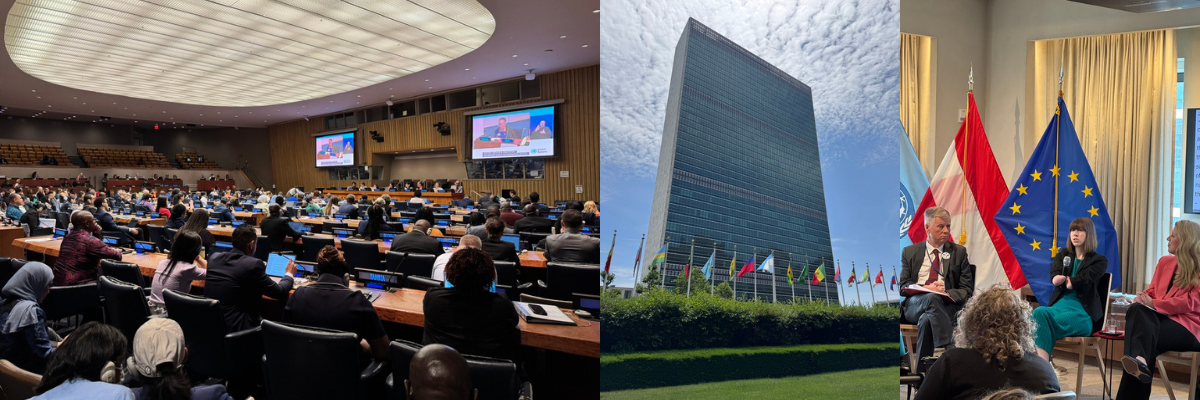 COSP19 marked 20 years of the CRPD at the United Nations.